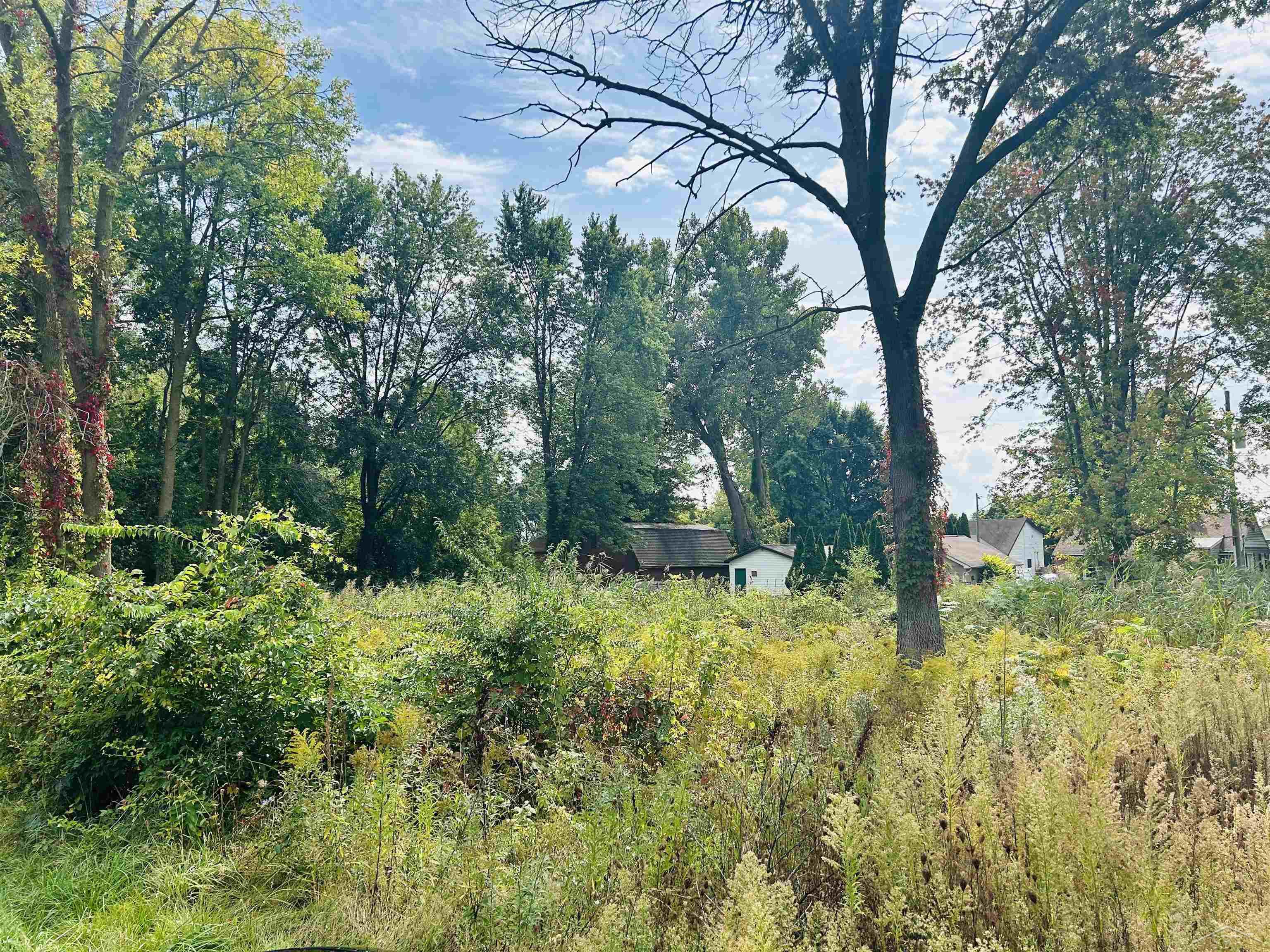 Shady Shores Road Bangor Charter Township MI 48706