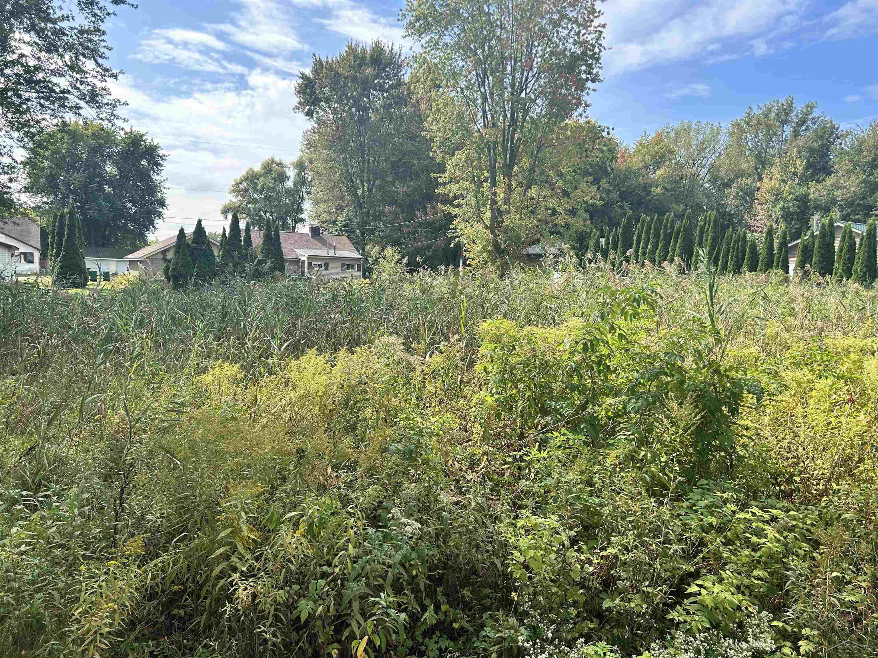 Shady Shores Road Bangor Charter Township MI 48706