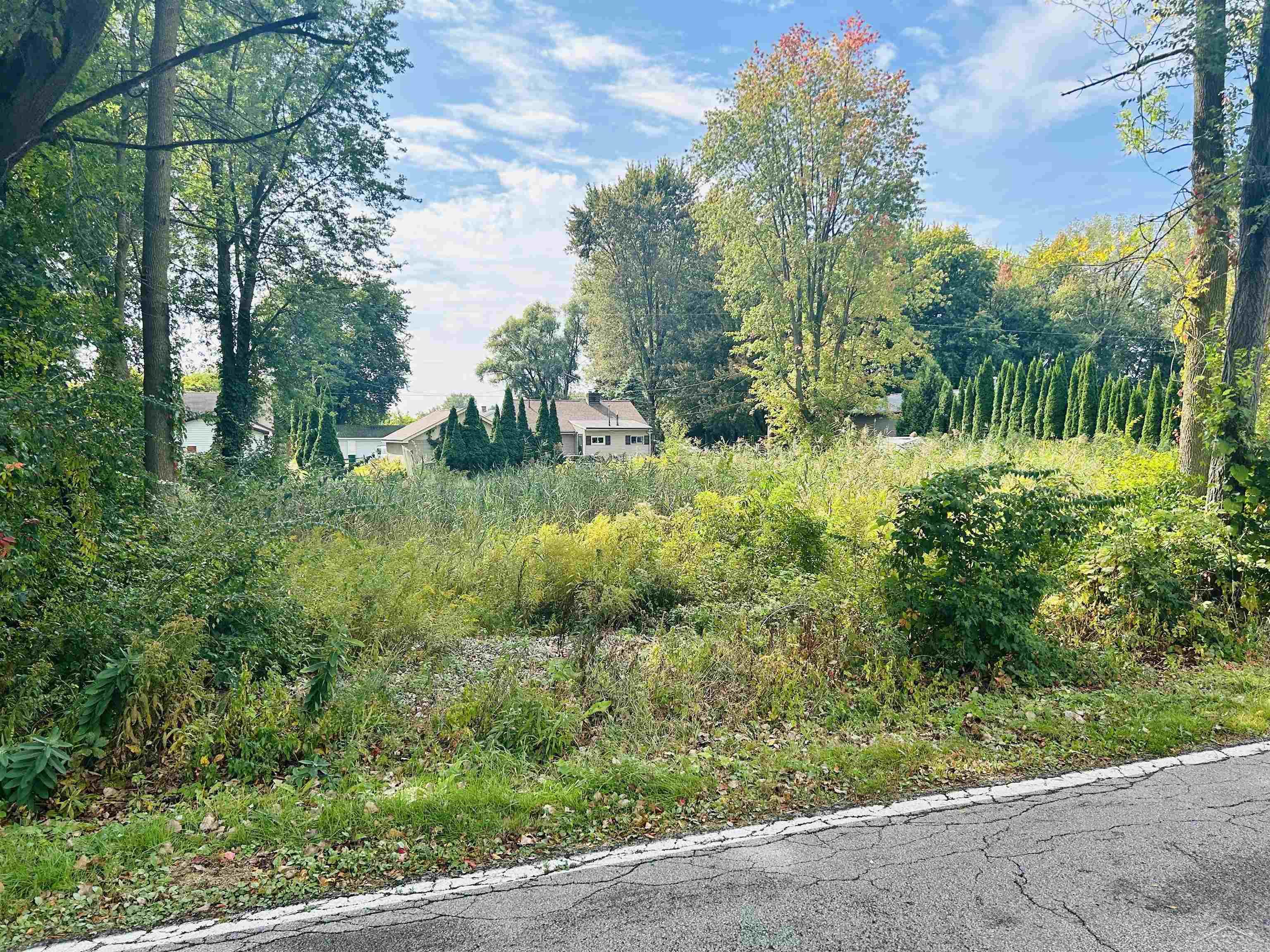 Shady Shores Road Bangor Charter Township MI 48706