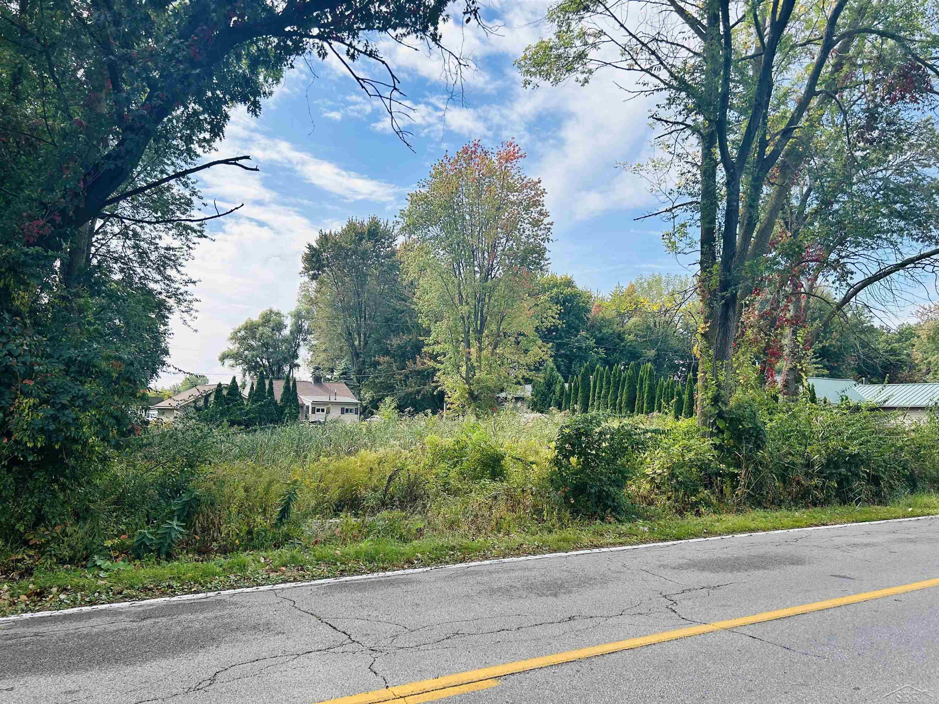 Shady Shores Road Bangor Charter Township MI 48706
