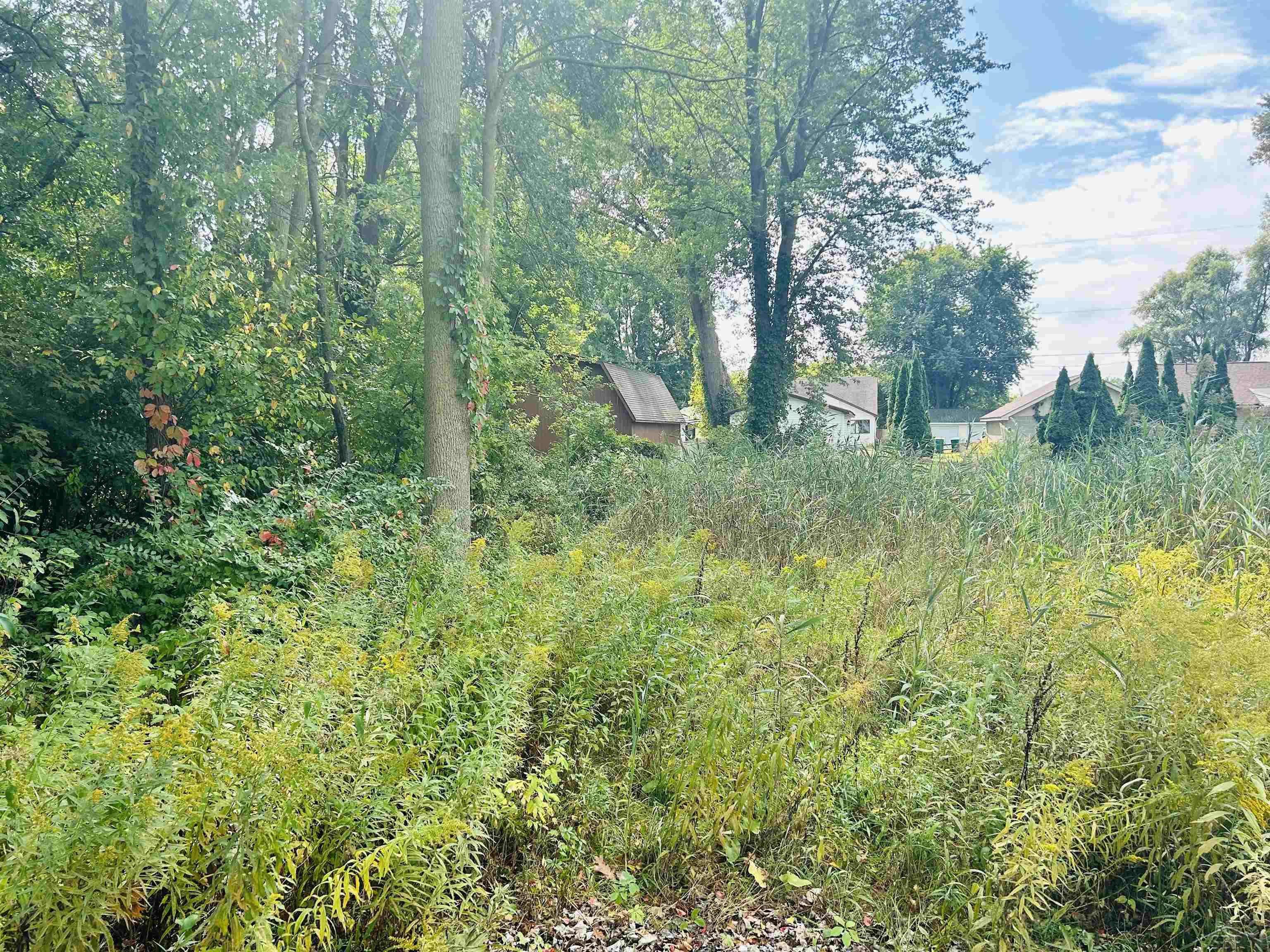 Shady Shores Road Bangor Charter Township MI 48706
