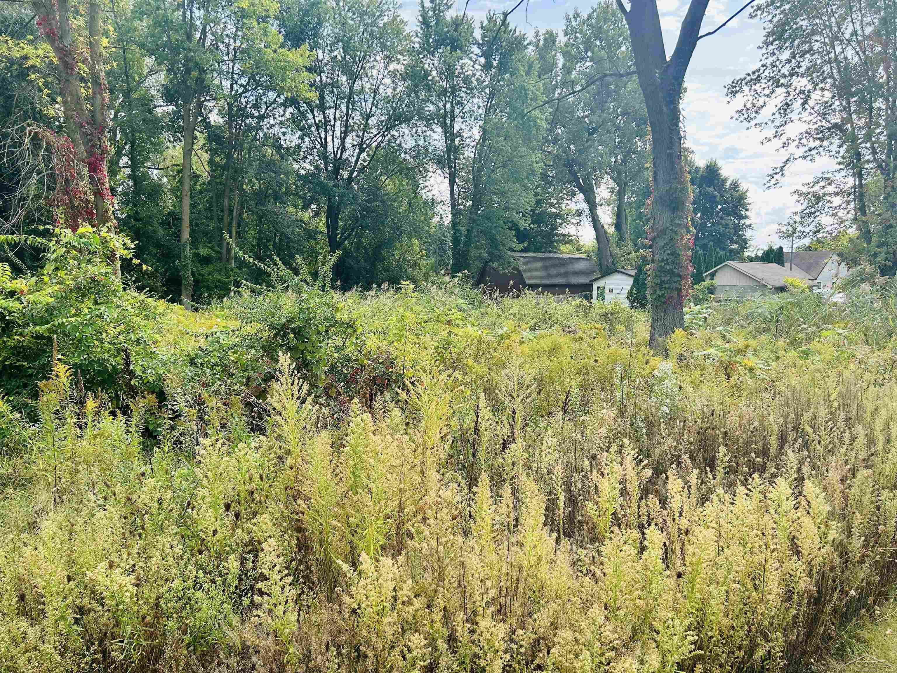Shady Shores Road Bangor Charter Township MI 48706