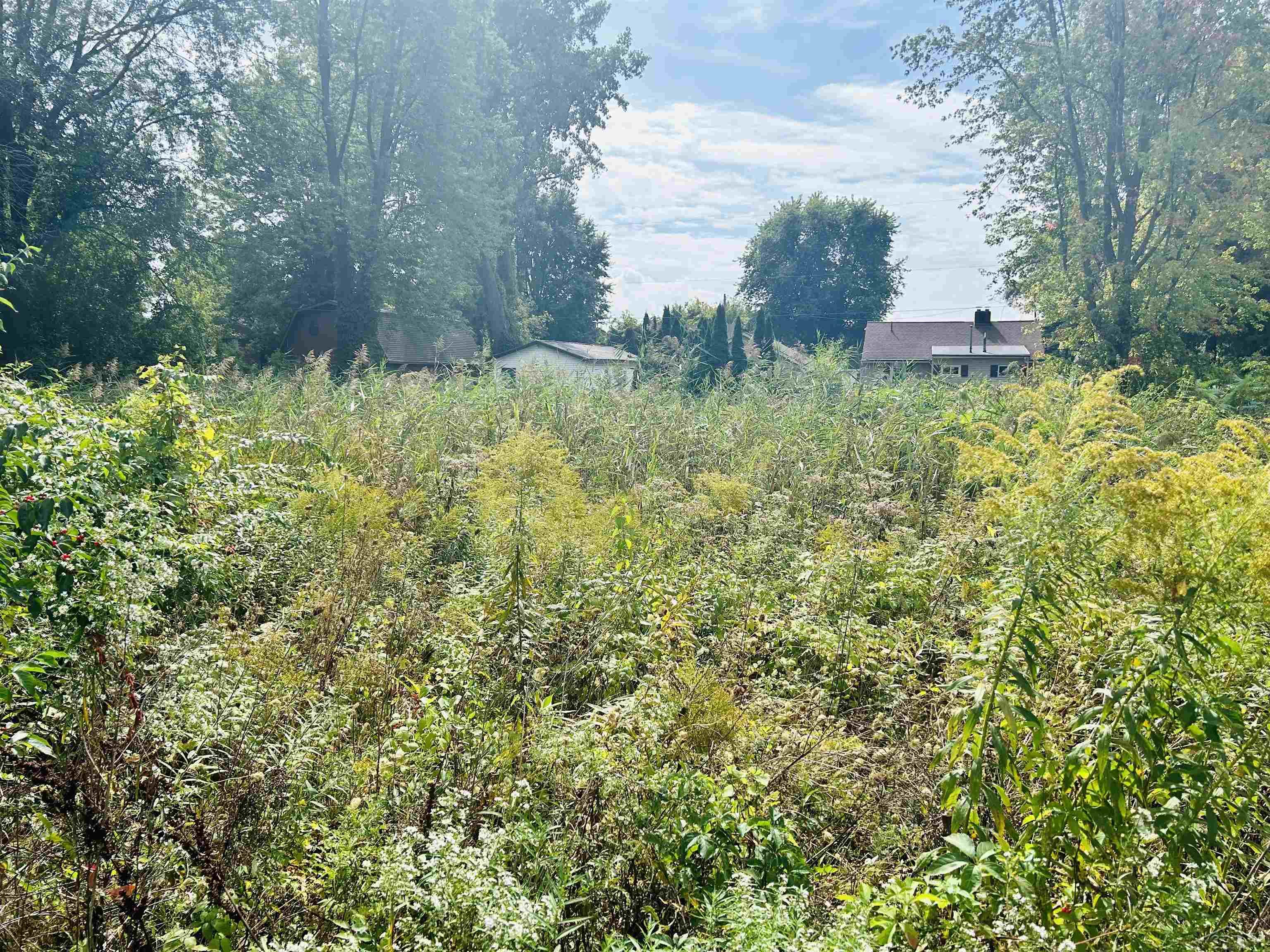 Shady Shores Road Bangor Charter Township MI 48706