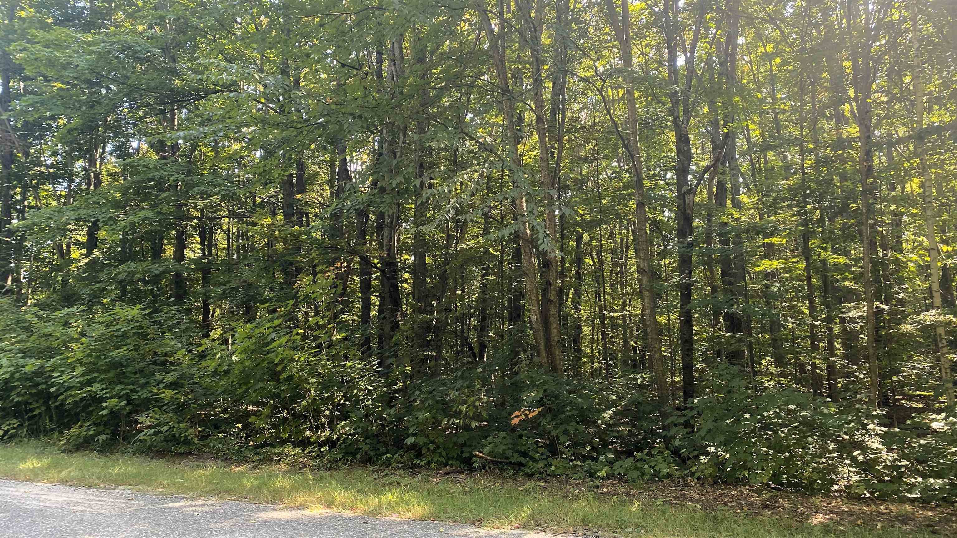 Lot 466 Northwood Drive Hayes Township MI 49730