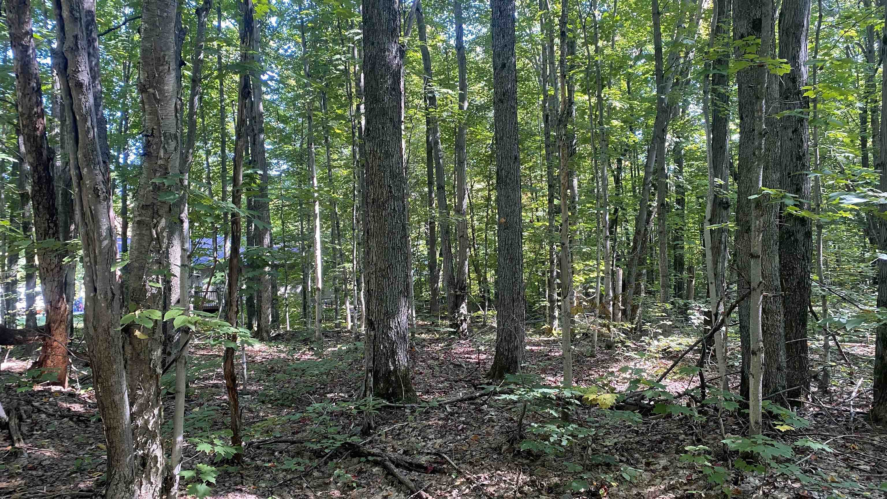 Lot 466 Northwood Drive Hayes Township MI 49730
