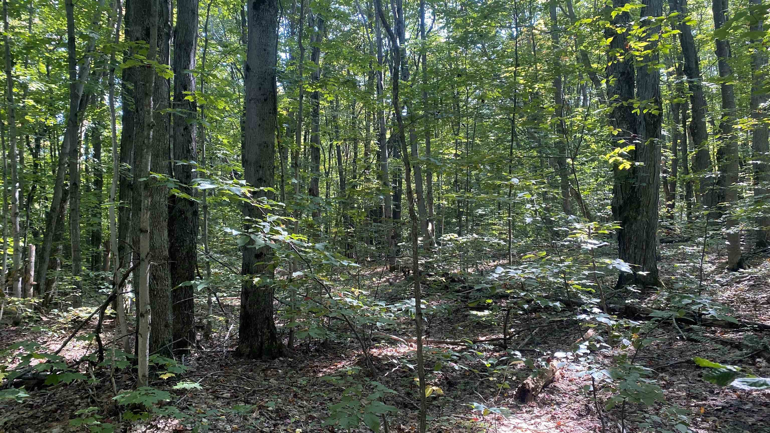 Lot 466 Northwood Drive Hayes Township MI 49730