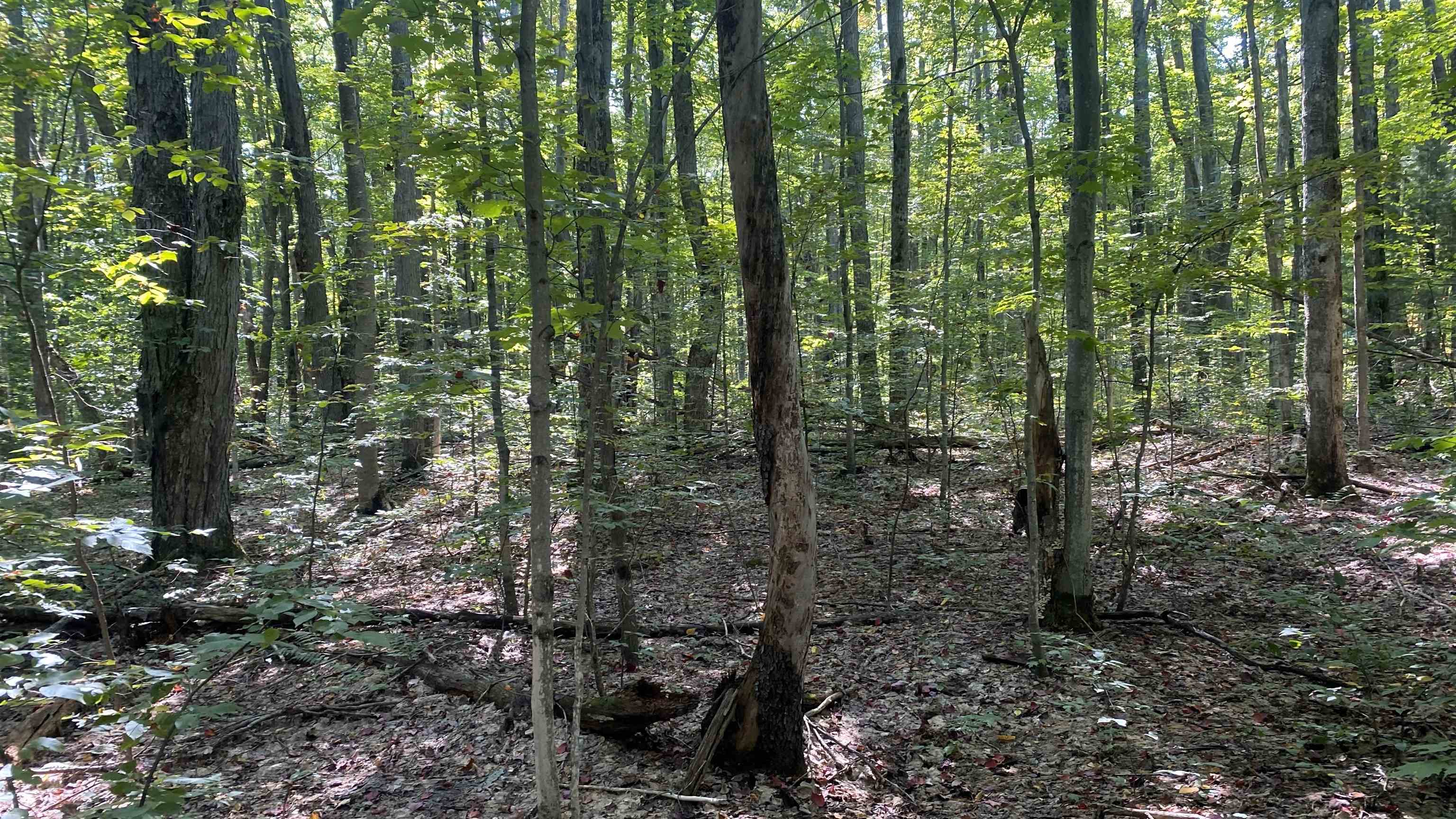 Lot 466 Northwood Drive Hayes Township MI 49730