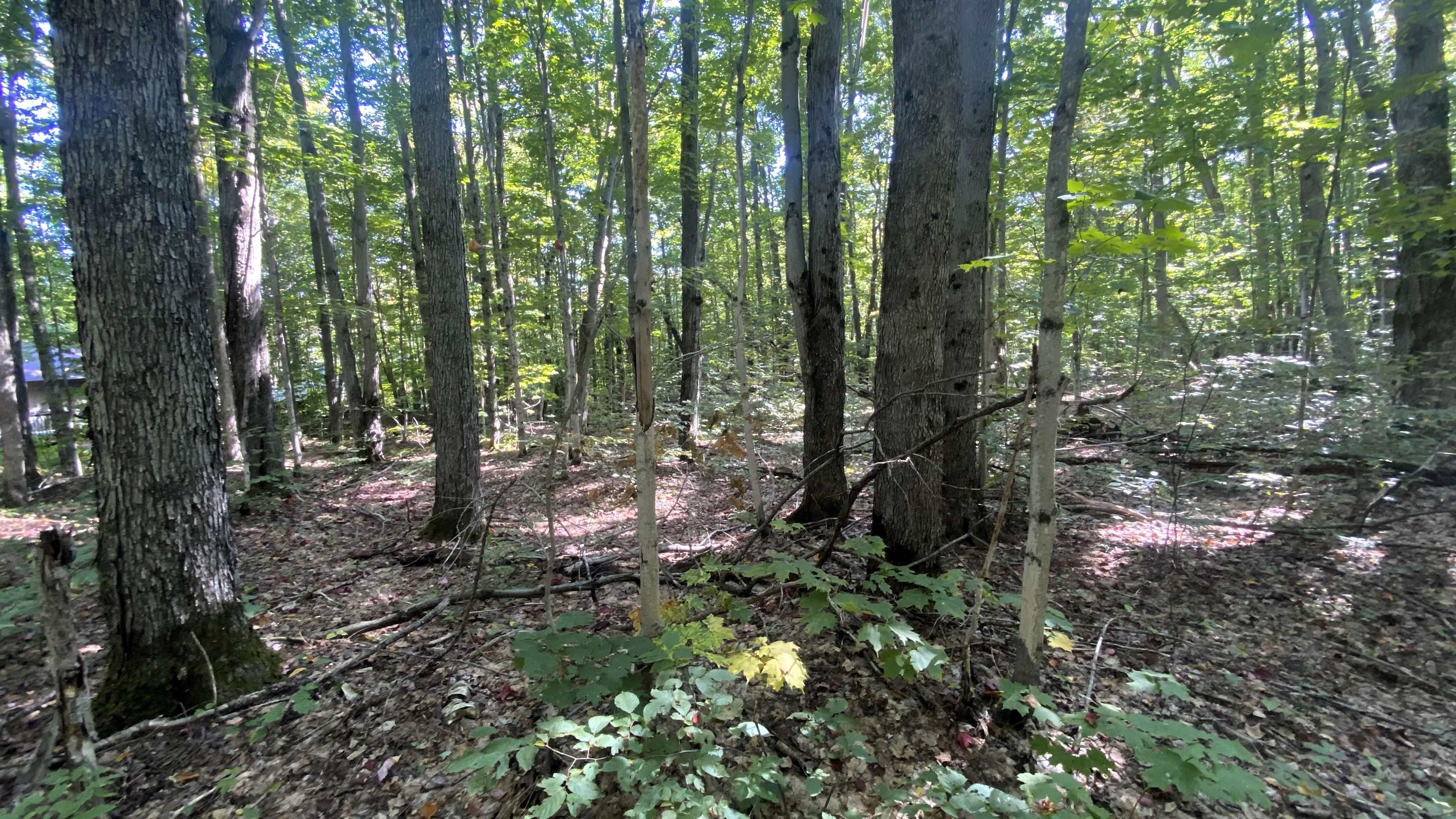 Lot 466 Northwood Drive Hayes Township MI 49730