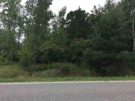 1166 E Freeland Road Mt. Haley Township MI 48637