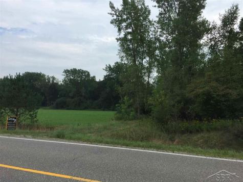 1166 E Freeland Road Mt. Haley Township MI 48637