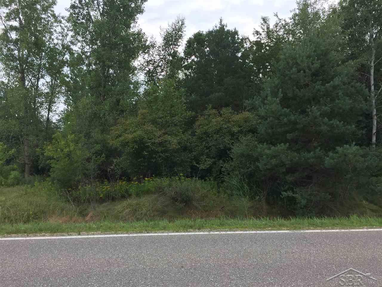 1166 E Freeland Road Mt. Haley Township MI 48637