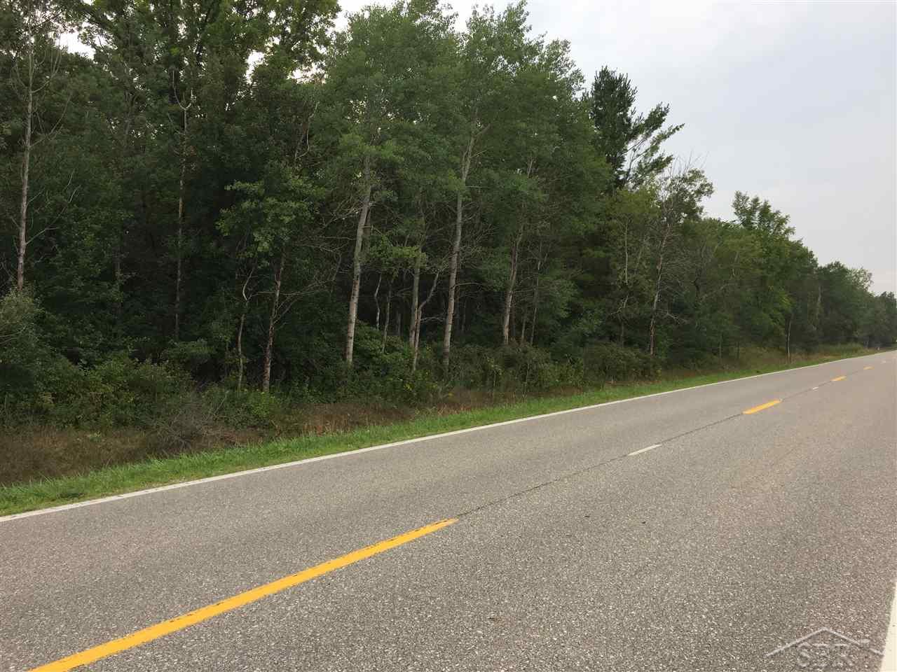 1166 E Freeland Road Mt. Haley Township MI 48637