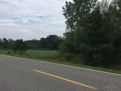 1166 E Freeland Road Mt. Haley Township MI 48637