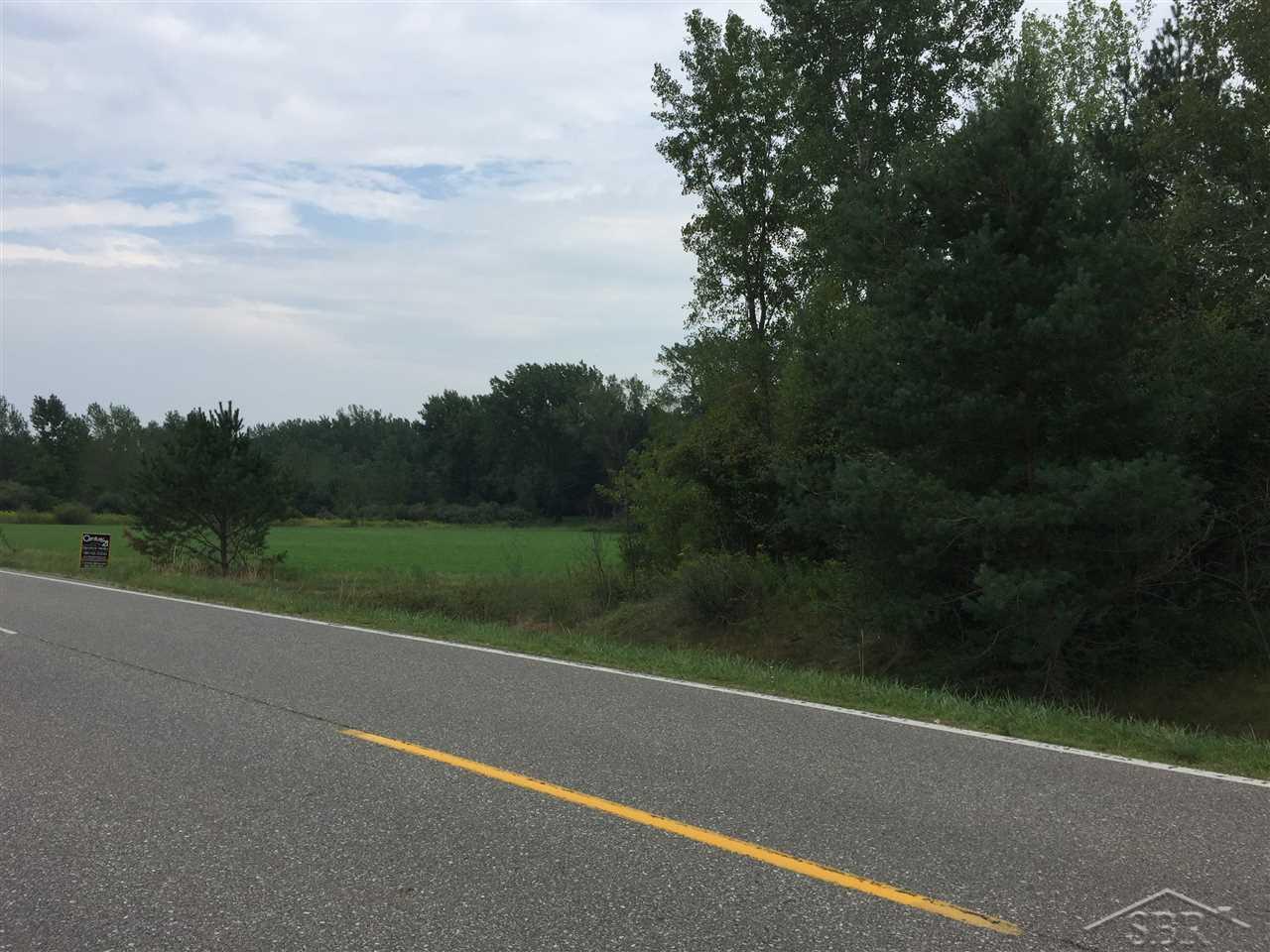 1166 E Freeland Road Mt. Haley Township MI 48637
