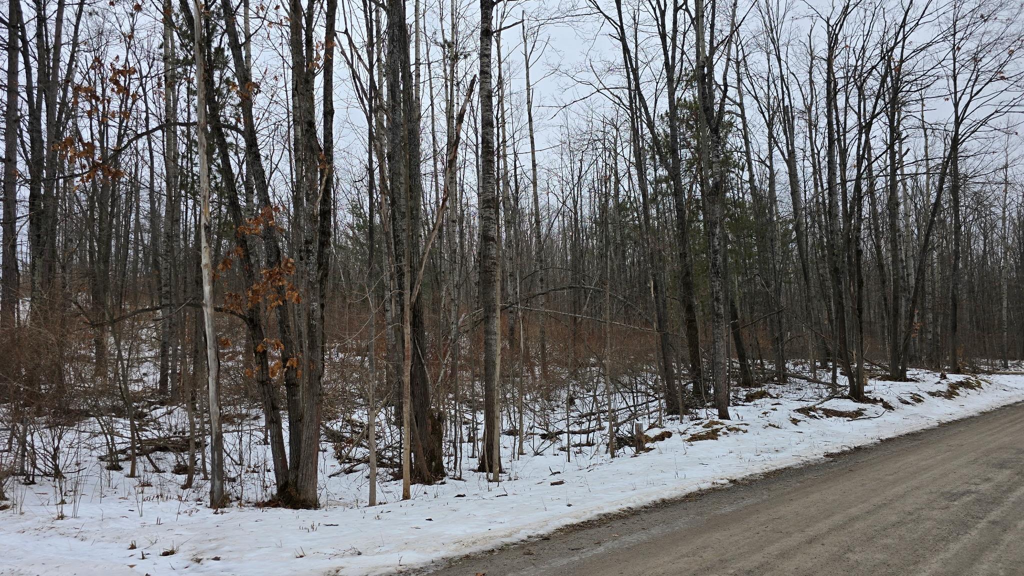13384 Bartz Road Ossineke Township MI 49747