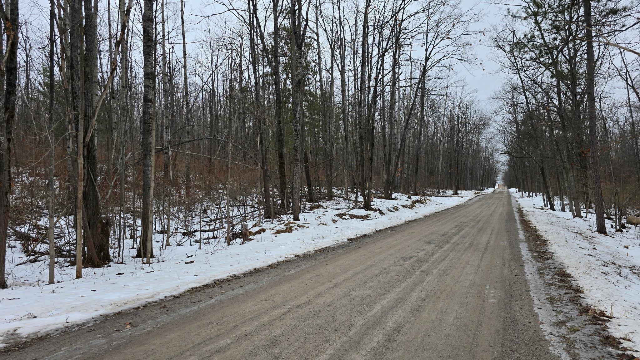 13384 Bartz Road Ossineke Township MI 49747