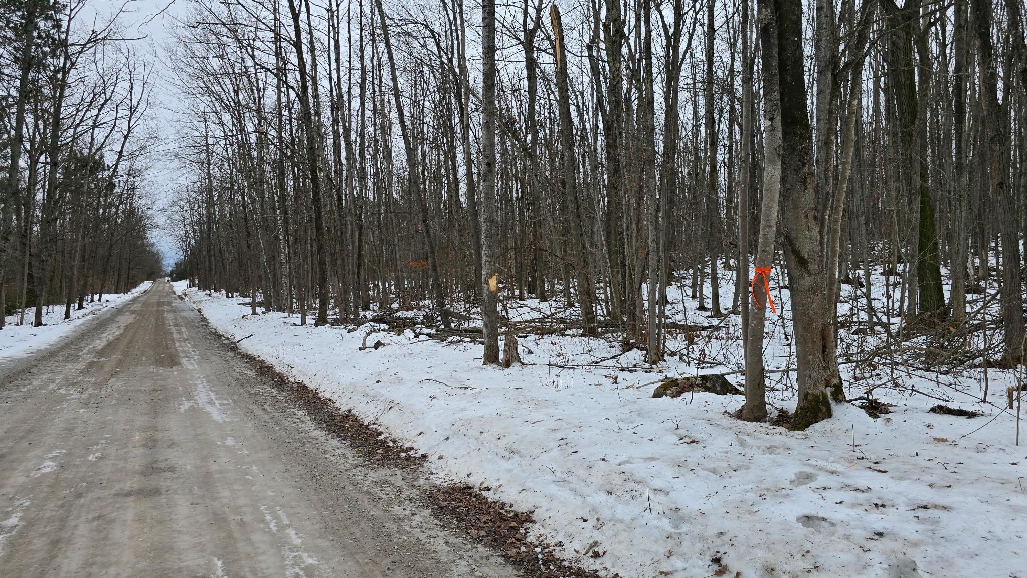 13384 Bartz Road Ossineke Township MI 49747
