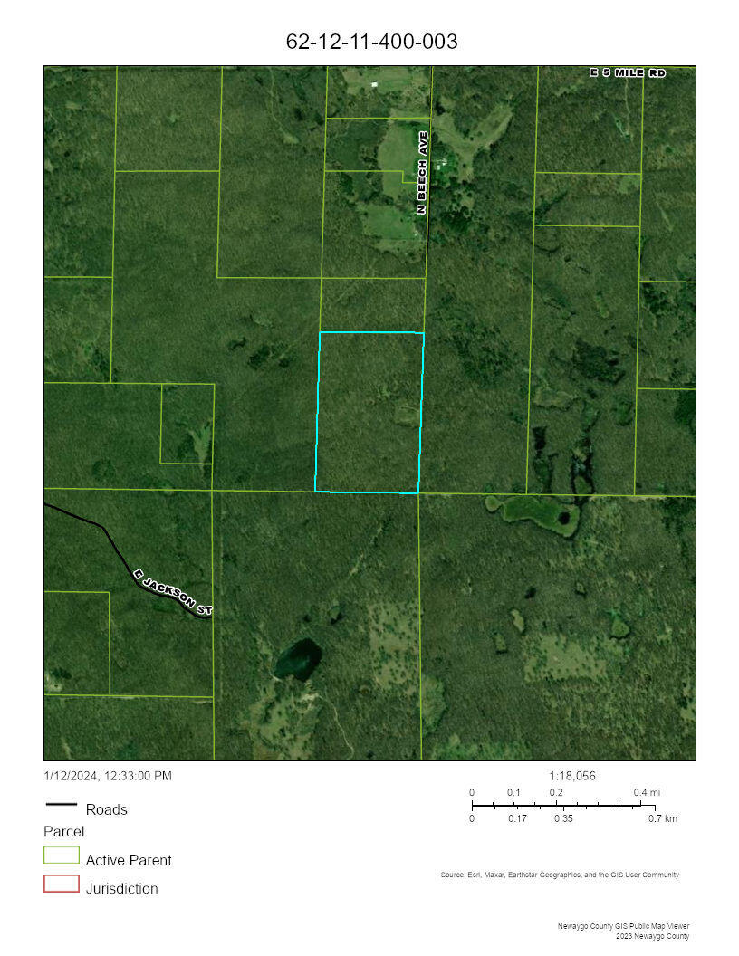 Ville N Beech Avenue Goodwell Township MI 49349
