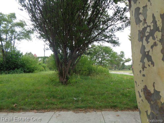 13281 Gable Street Hamtramck City MI 48212