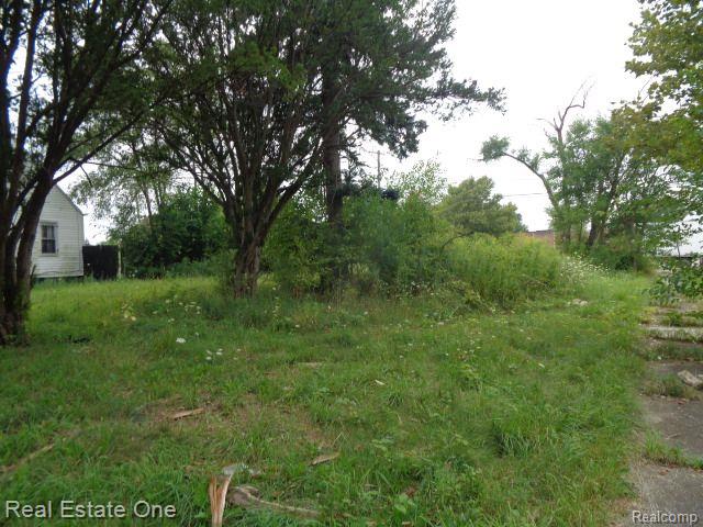 13281 Gable Street Hamtramck City MI 48212