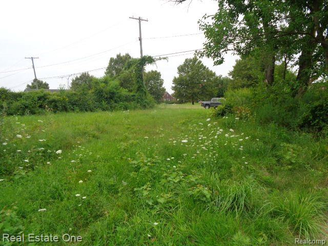 13281 Gable Street Hamtramck City MI 48212