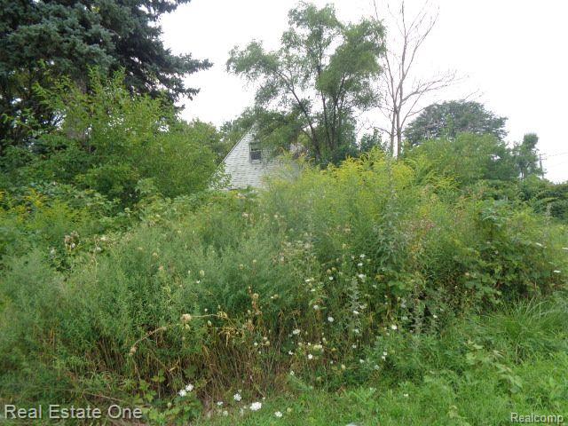 13281 Gable Street Hamtramck City MI 48212