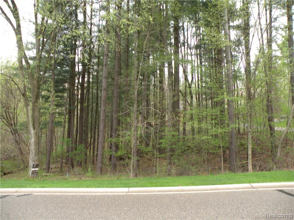 Lot 33 Alta Vista Drive Hamburg Township MI 48169