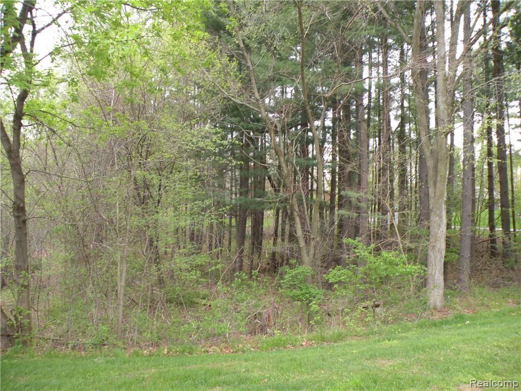 Lot 33 Alta Vista Drive Hamburg Township MI 48169