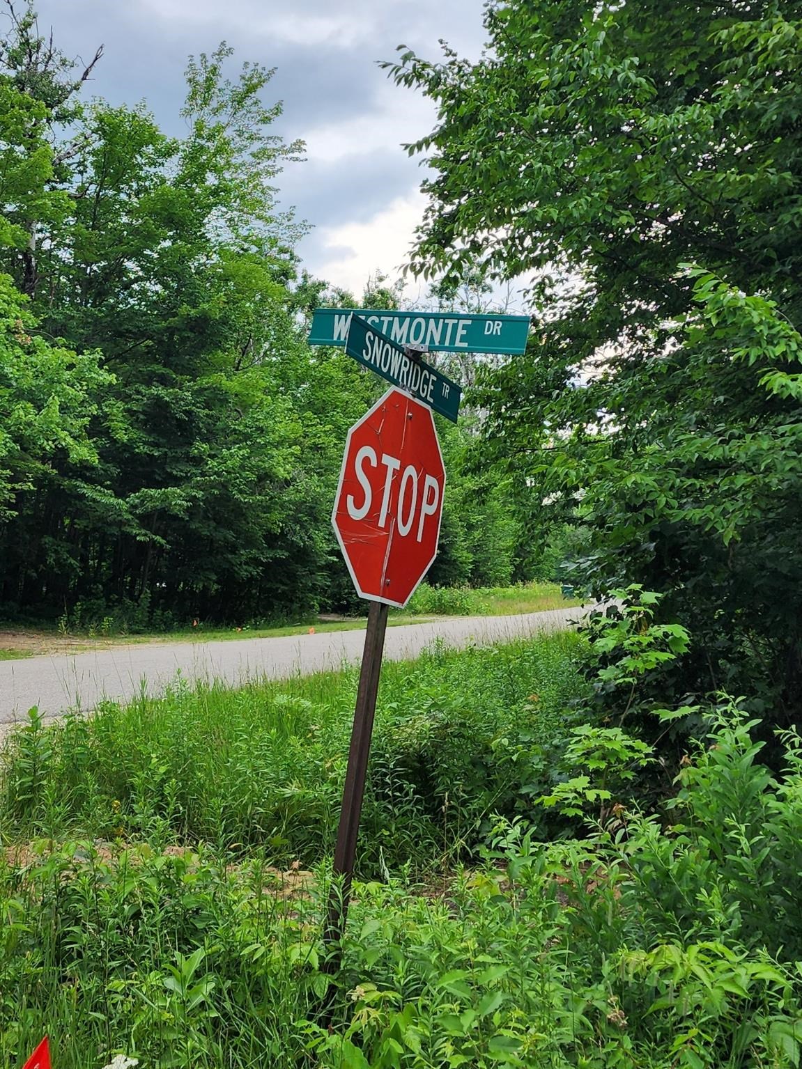 5165 Snowridge Trail Star Township MI 49730