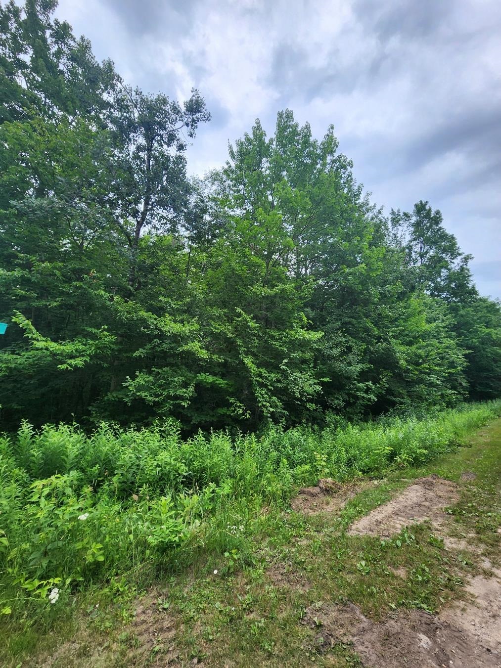 5165 Snowridge Trail Star Township MI 49730