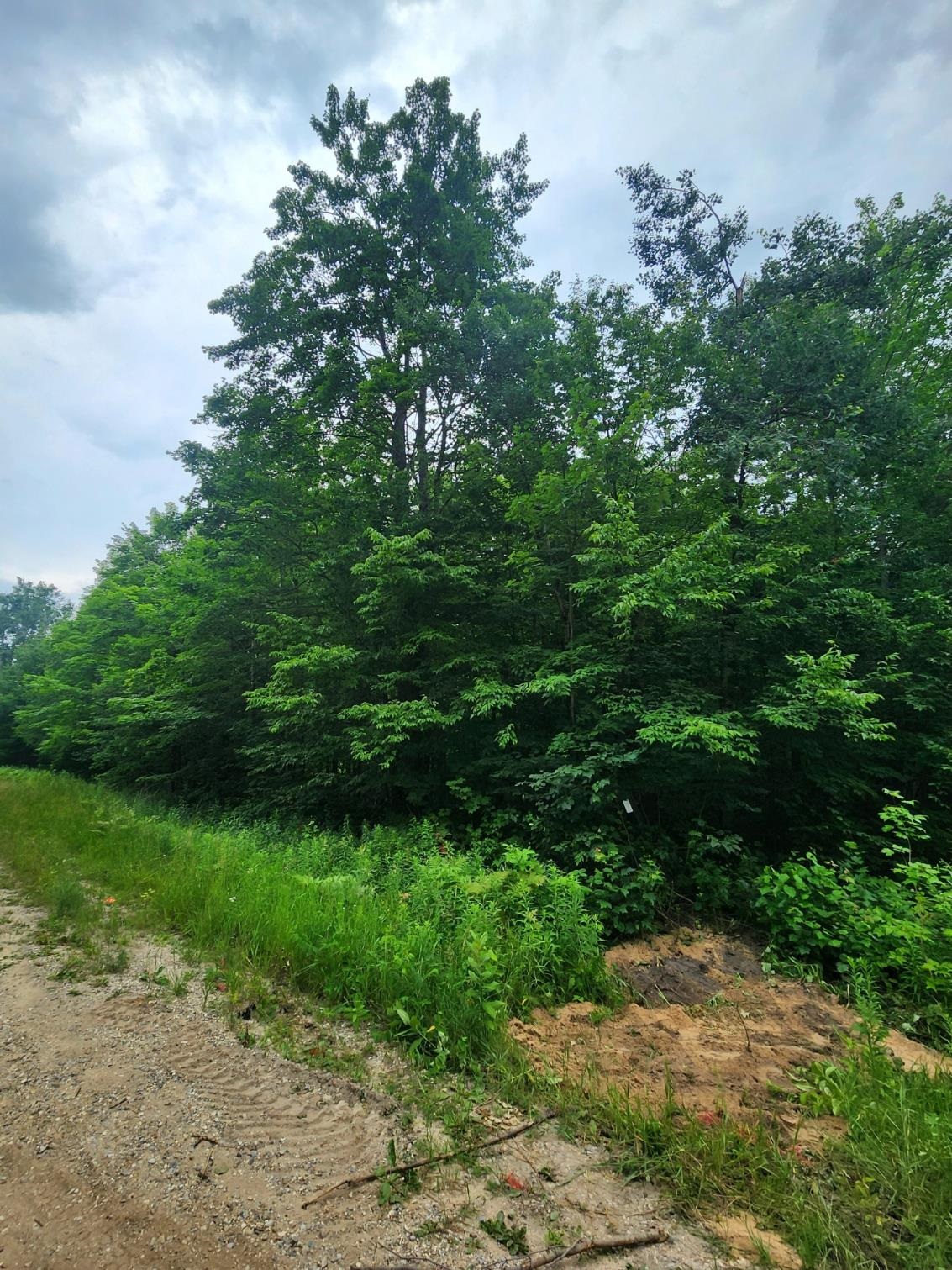 5165 Snowridge Trail Star Township MI 49730