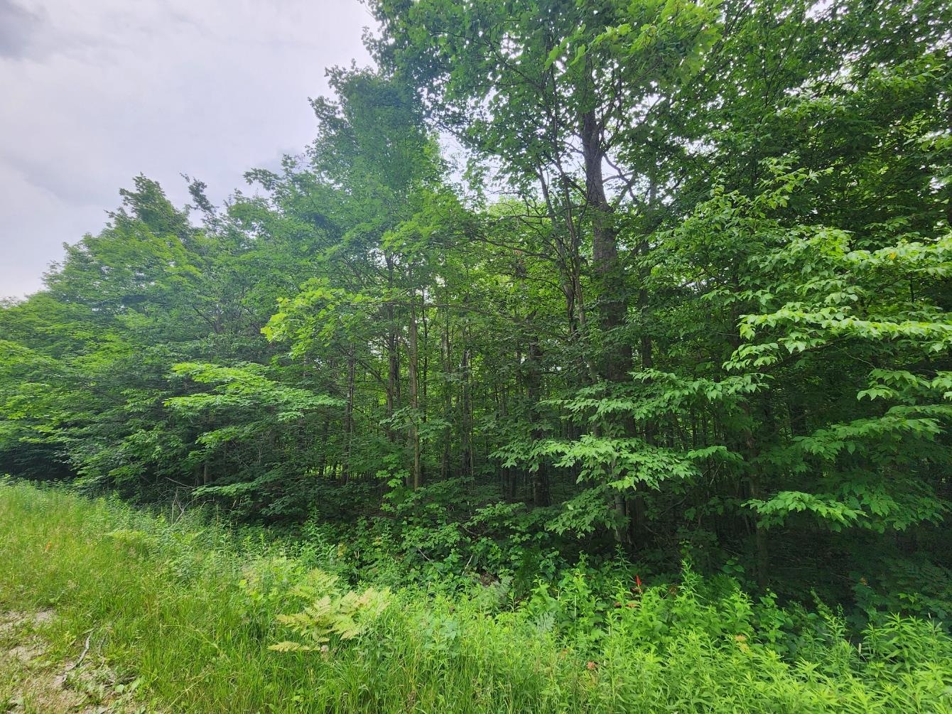 5165 Snowridge Trail Star Township MI 49730