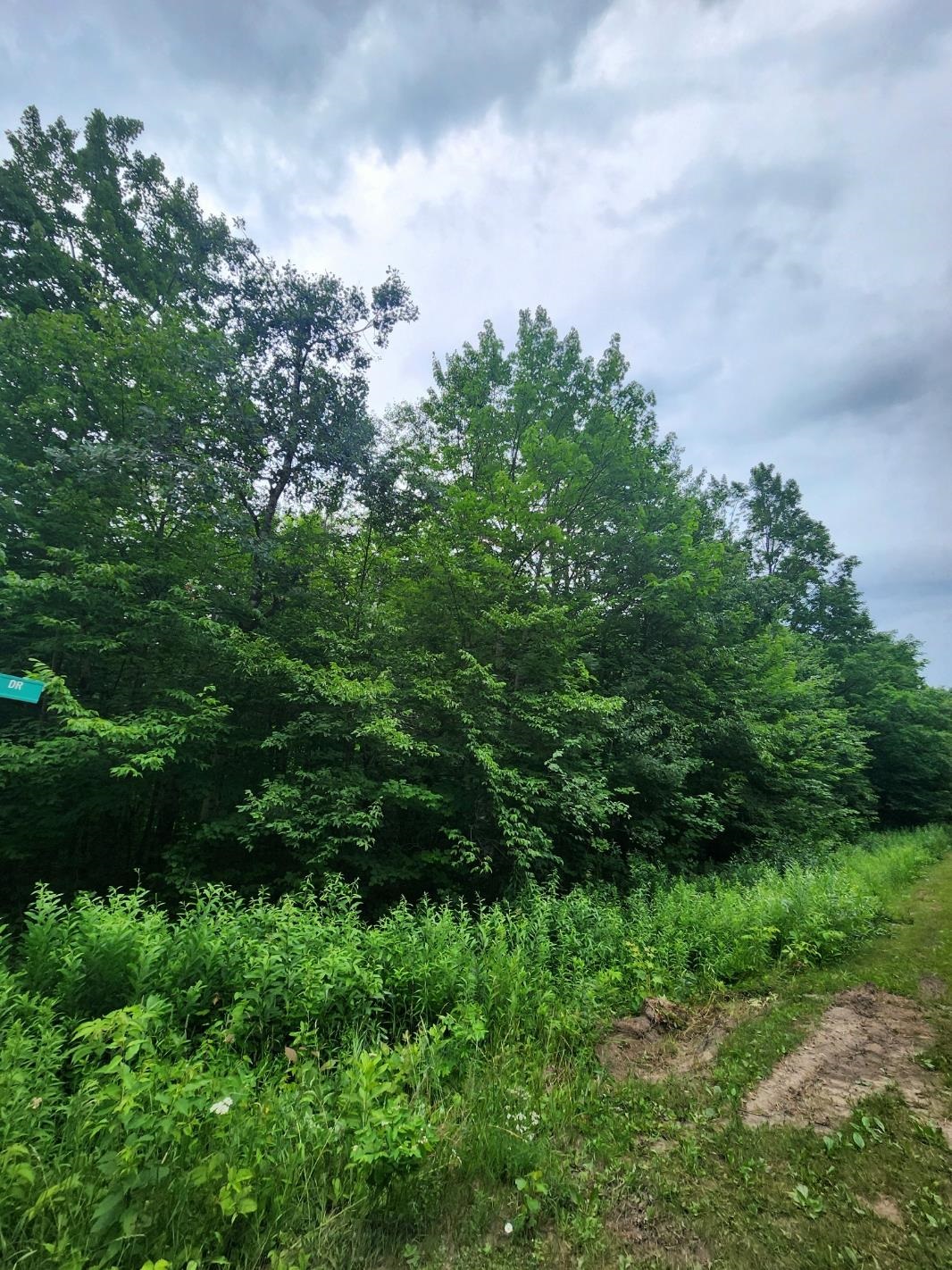 5165 Snowridge Trail Star Township MI 49730