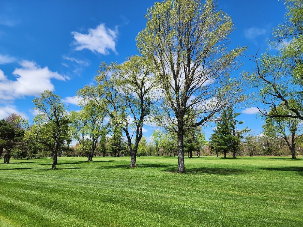 Ville Wilamont Circle Mancelona Township MI 49659