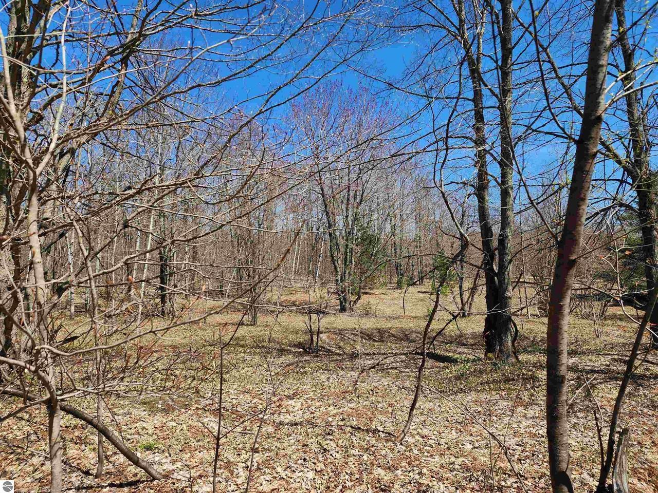 Ville Wilamont Circle Mancelona Township MI 49659