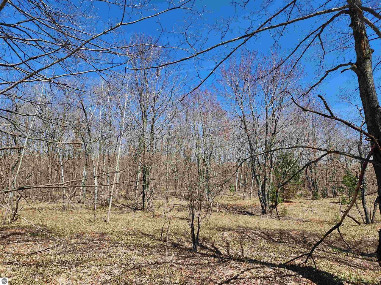 Ville Wilamont Circle Mancelona Township MI 49659