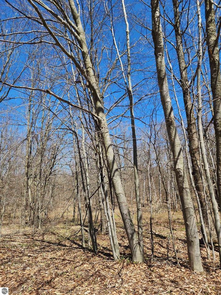 Ville Wilamont Circle Mancelona Township MI 49659