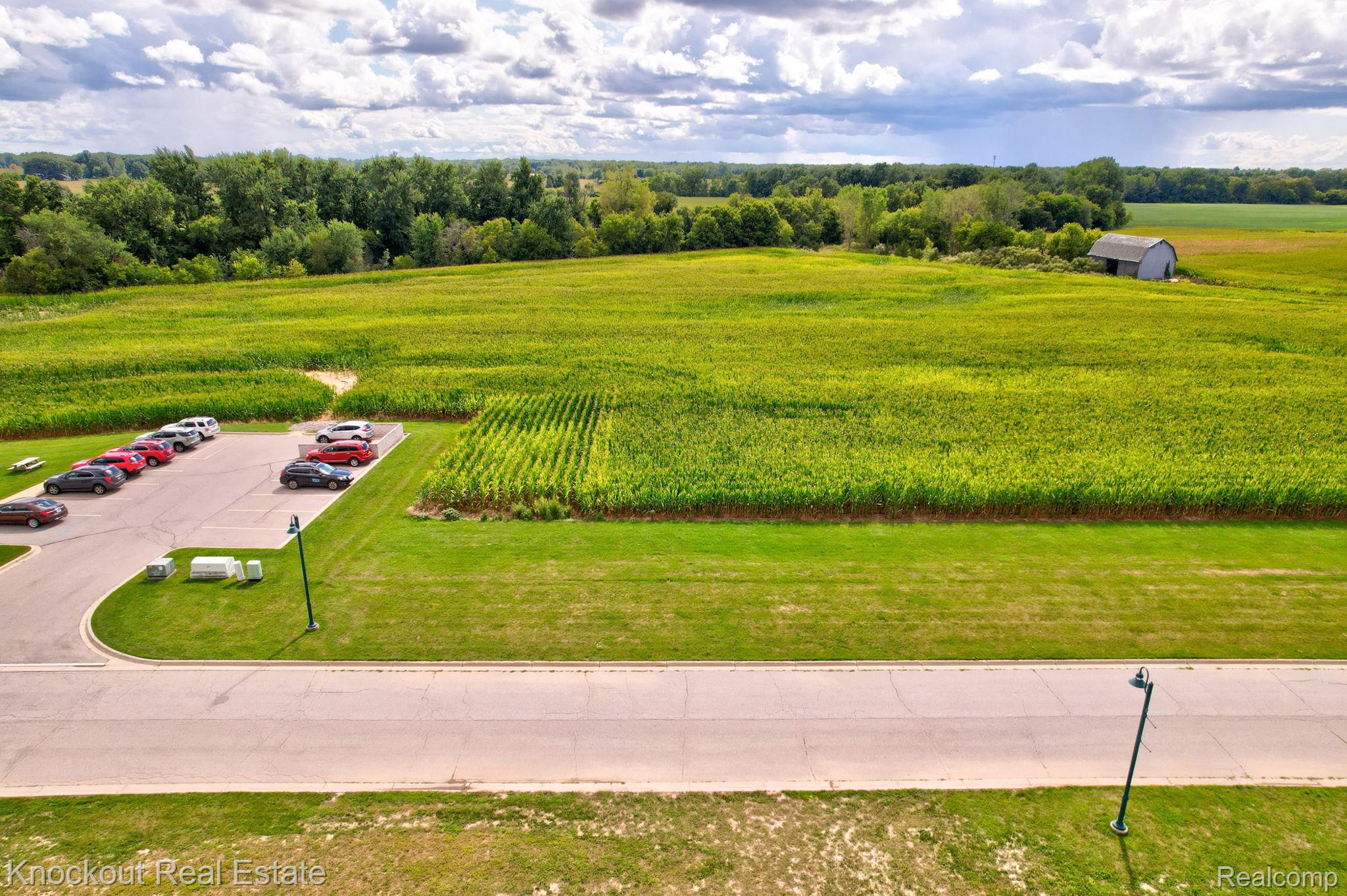 Parcel F W Rolling Hills Drive Bridgeport Charter Township MI 48722