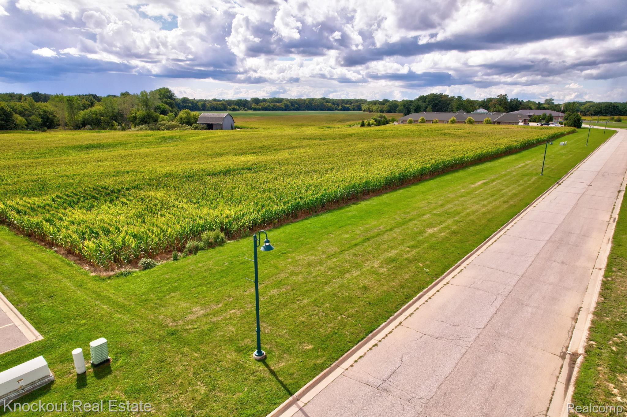 Parcel F W Rolling Hills Drive Bridgeport Charter Township MI 48722