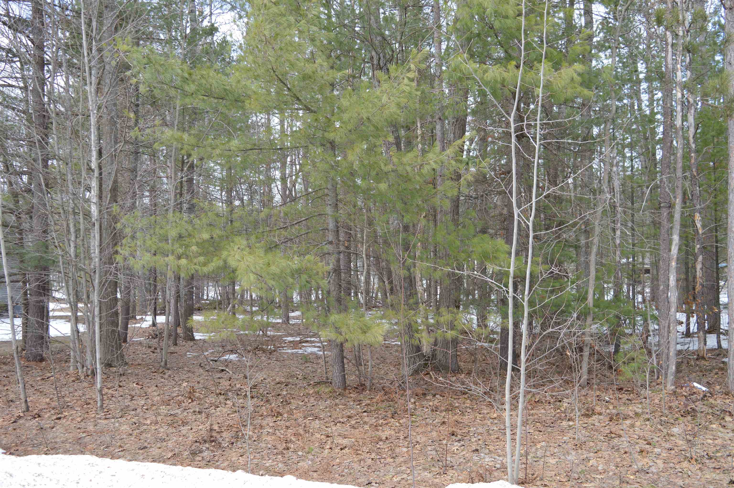 1971 Bunker Drive Kalkaska Township MI 49646