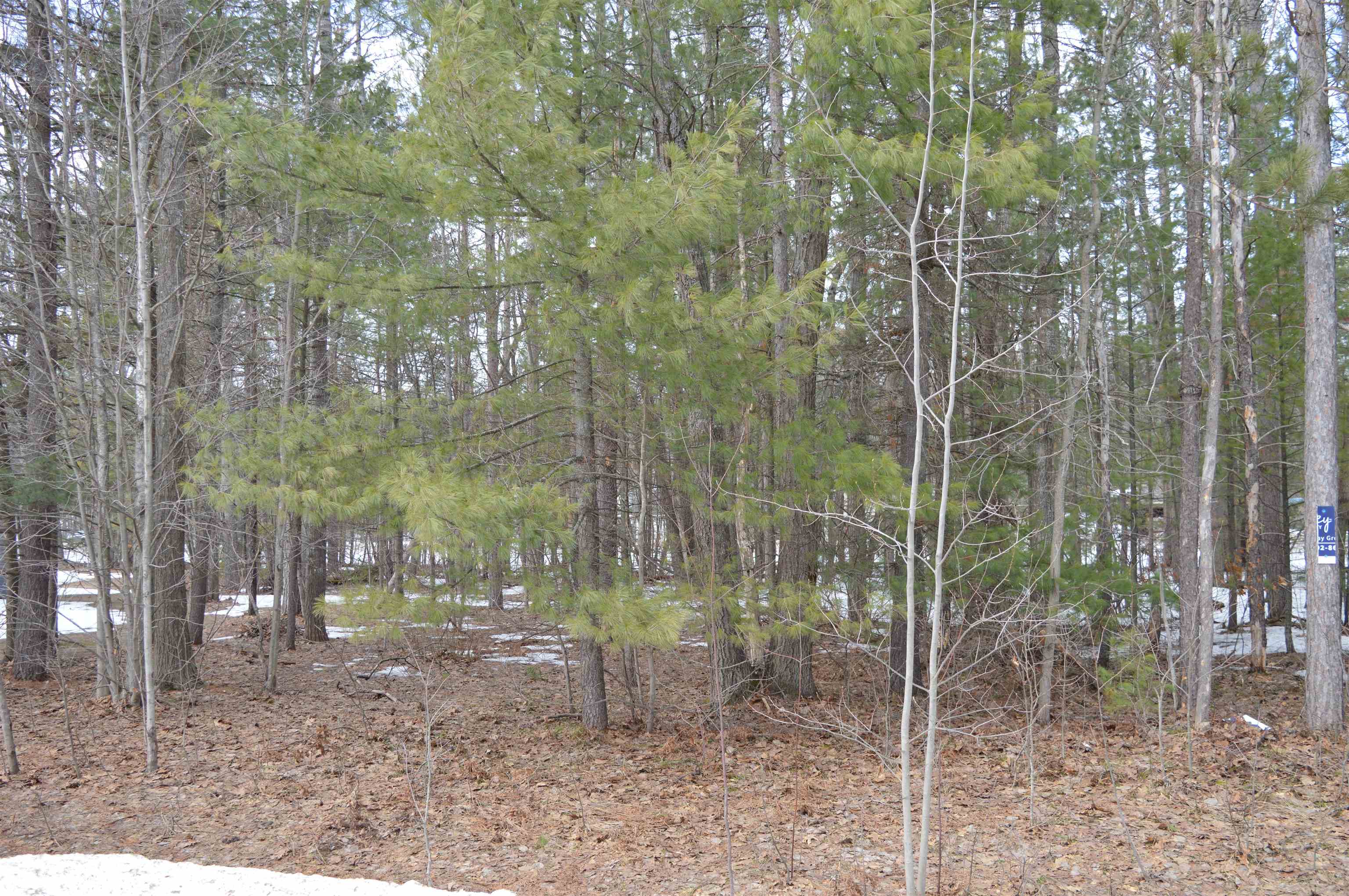 1971 Bunker Drive Kalkaska Township MI 49646