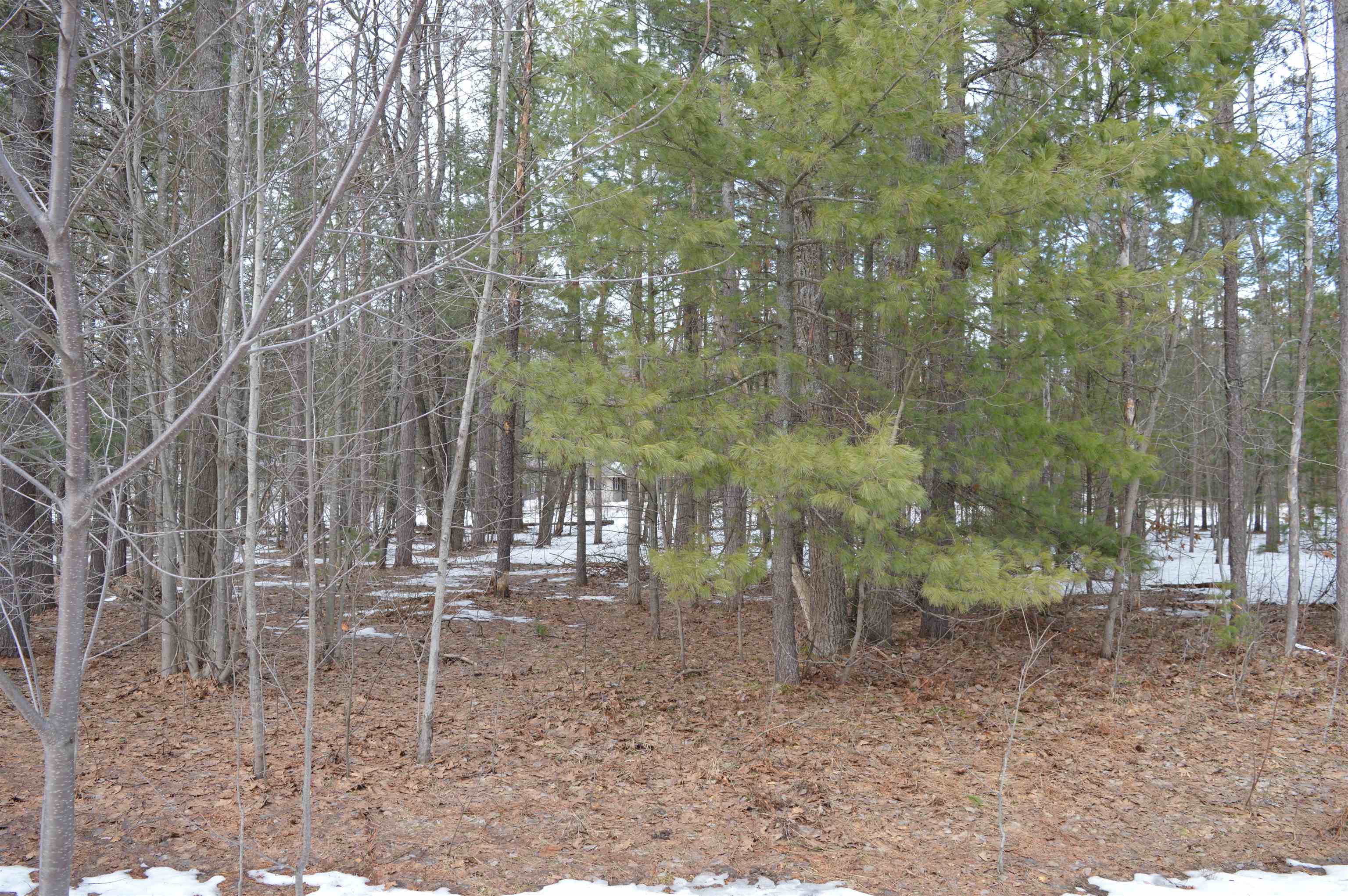 1971 Bunker Drive Kalkaska Township MI 49646