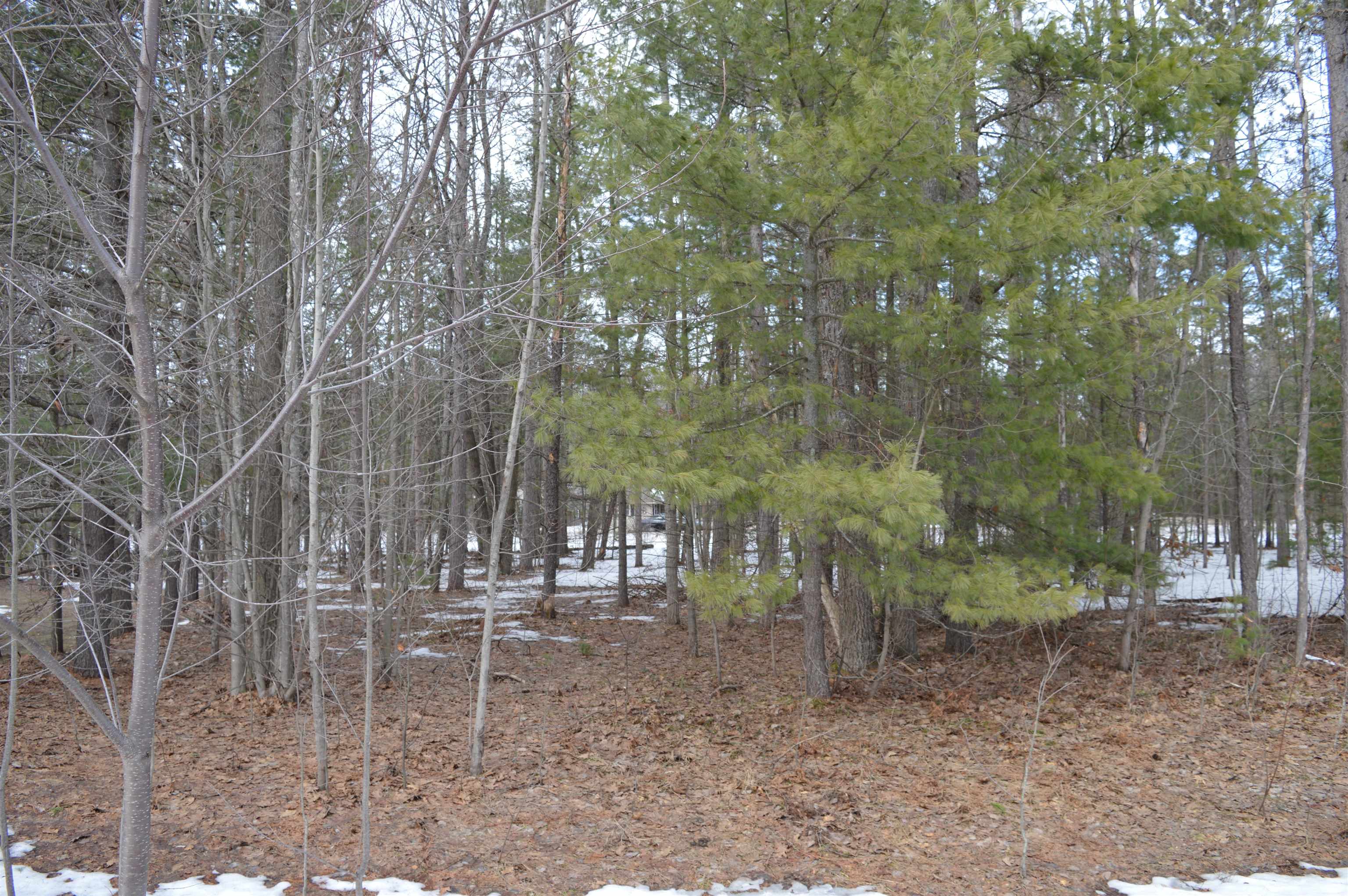 1971 Bunker Drive Kalkaska Township MI 49646