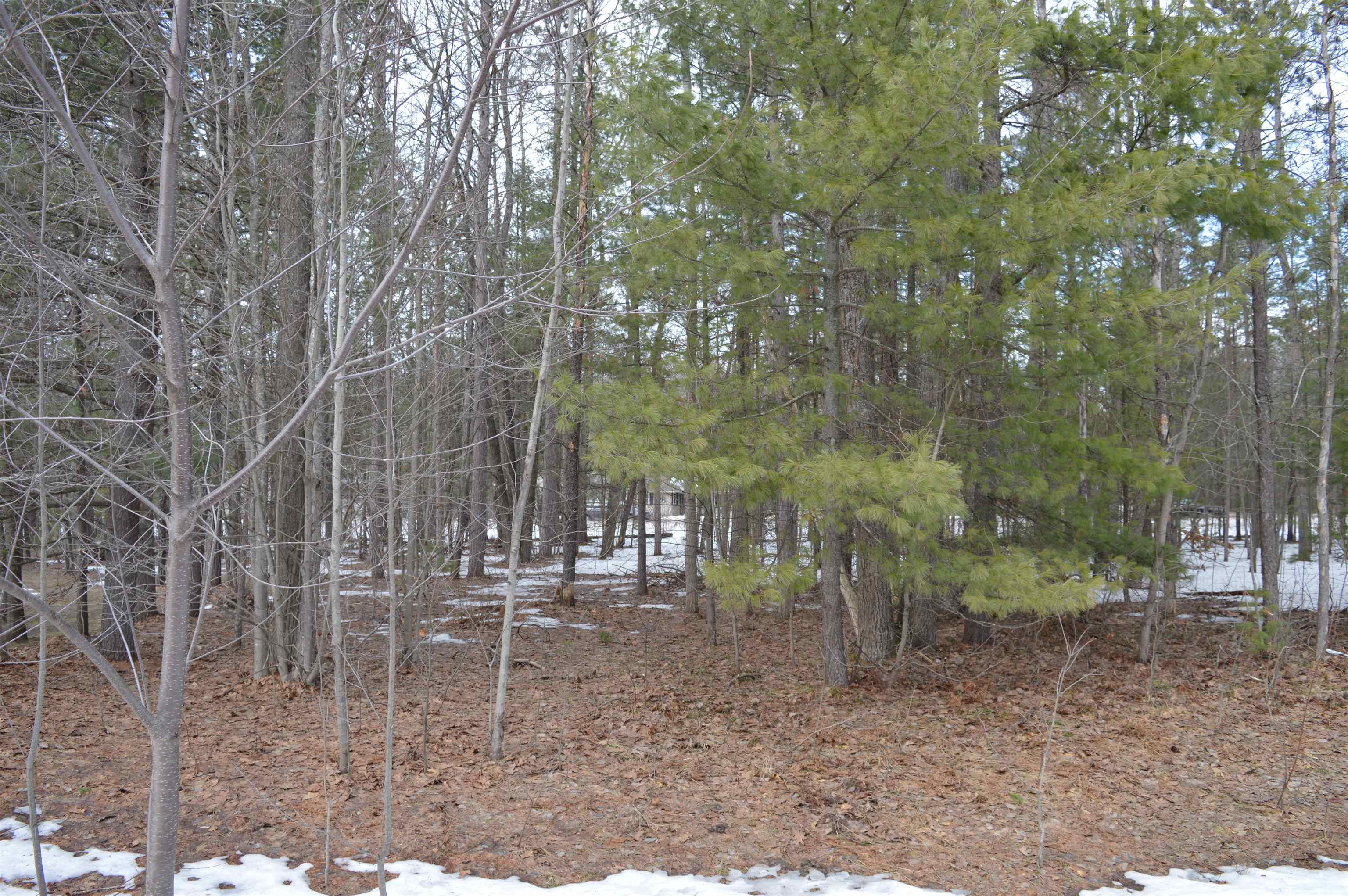 1971 Bunker Drive Kalkaska Township MI 49646