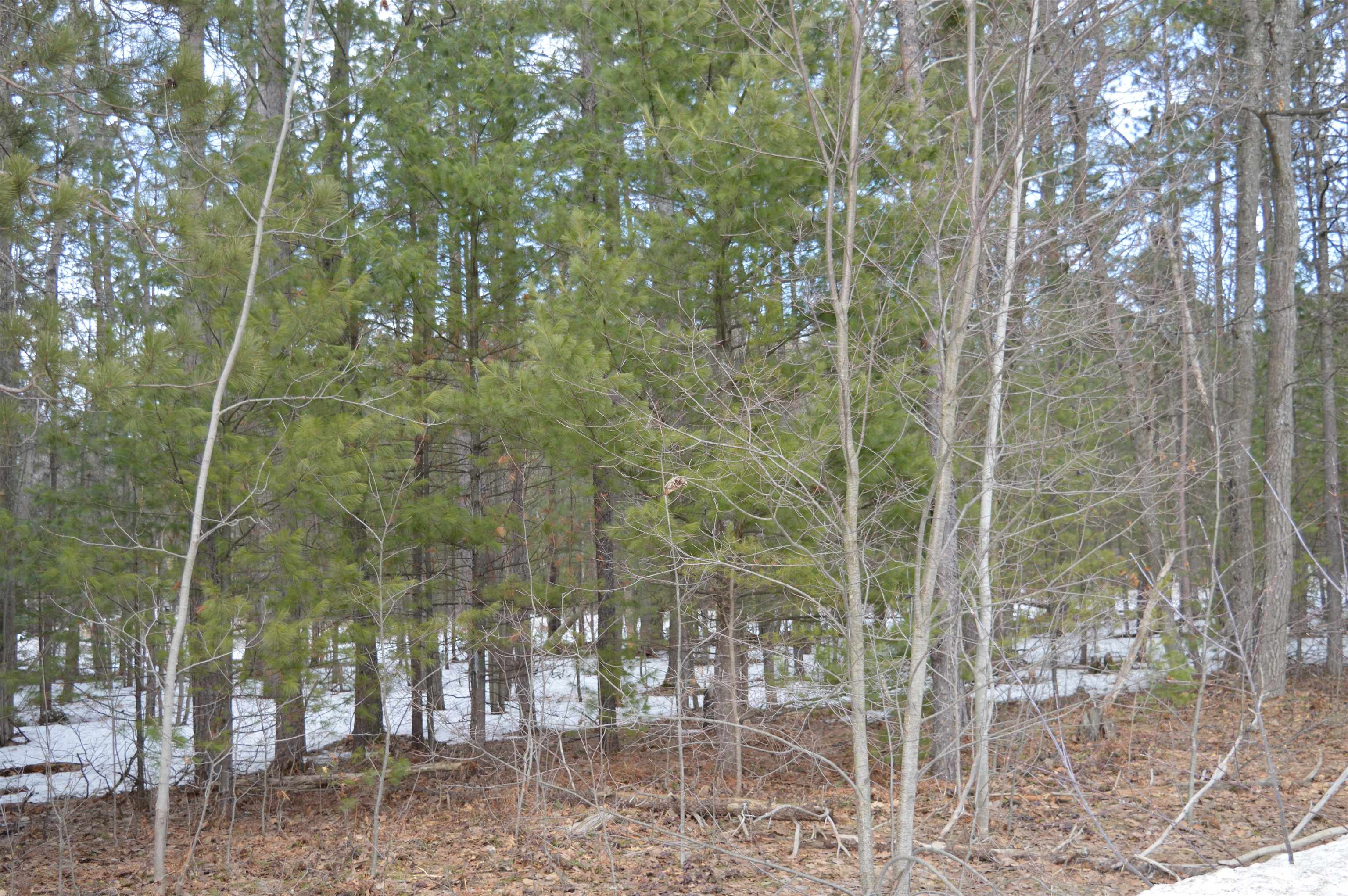 1971 Bunker Drive Kalkaska Township MI 49646