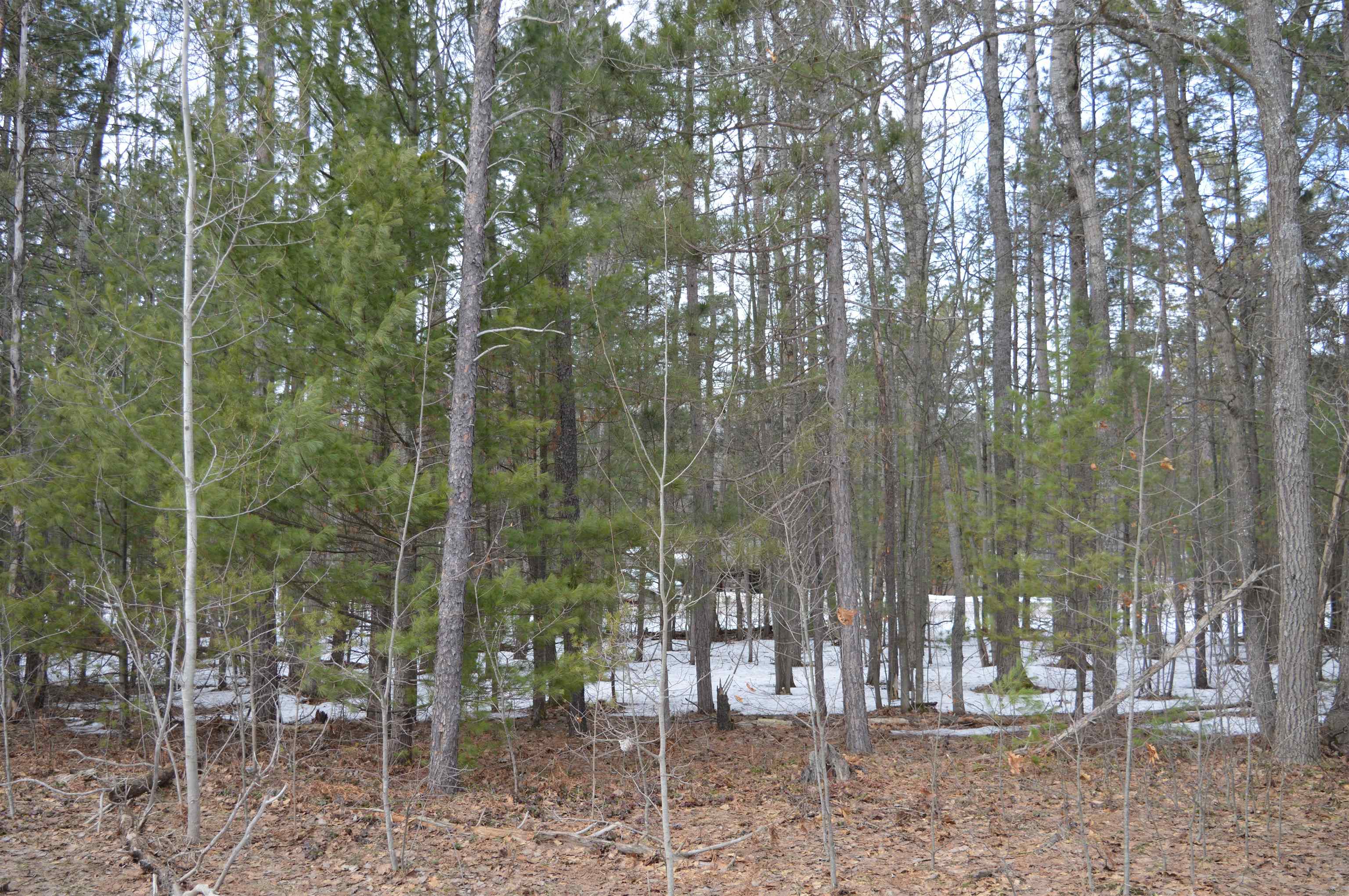 1971 Bunker Drive Kalkaska Township MI 49646