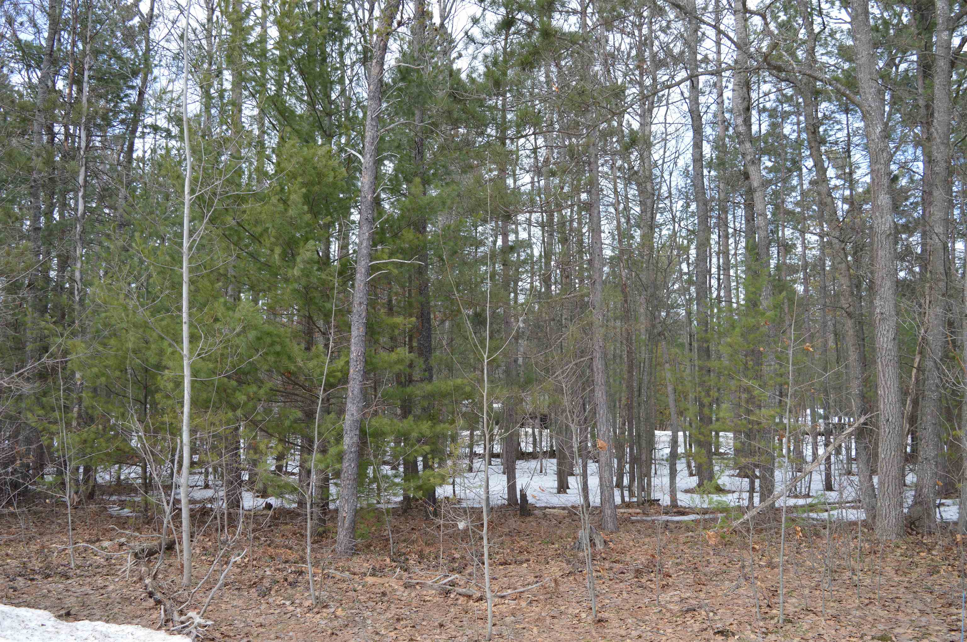 1971 Bunker Drive Kalkaska Township MI 49646