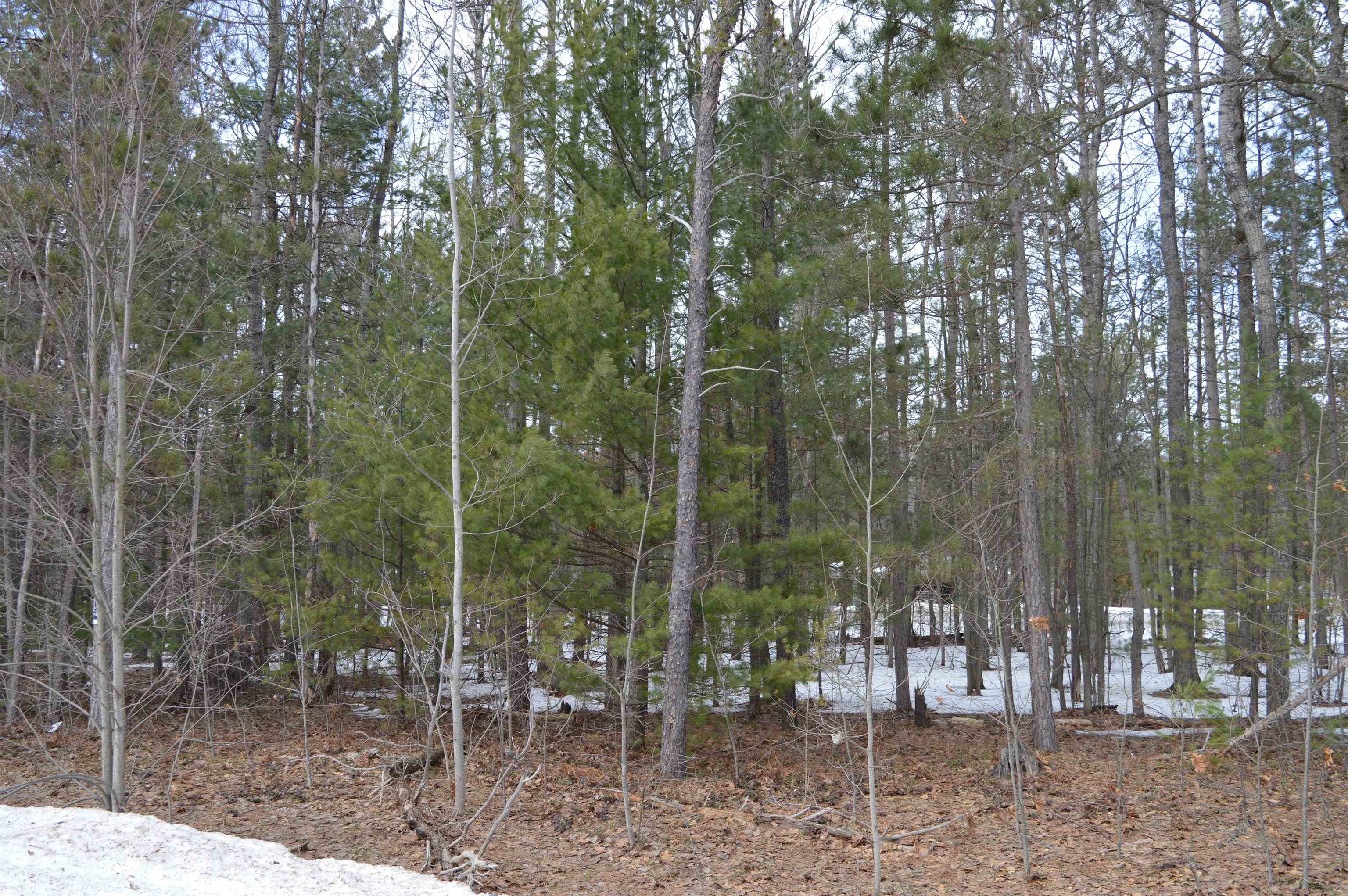 1971 Bunker Drive Kalkaska Township MI 49646