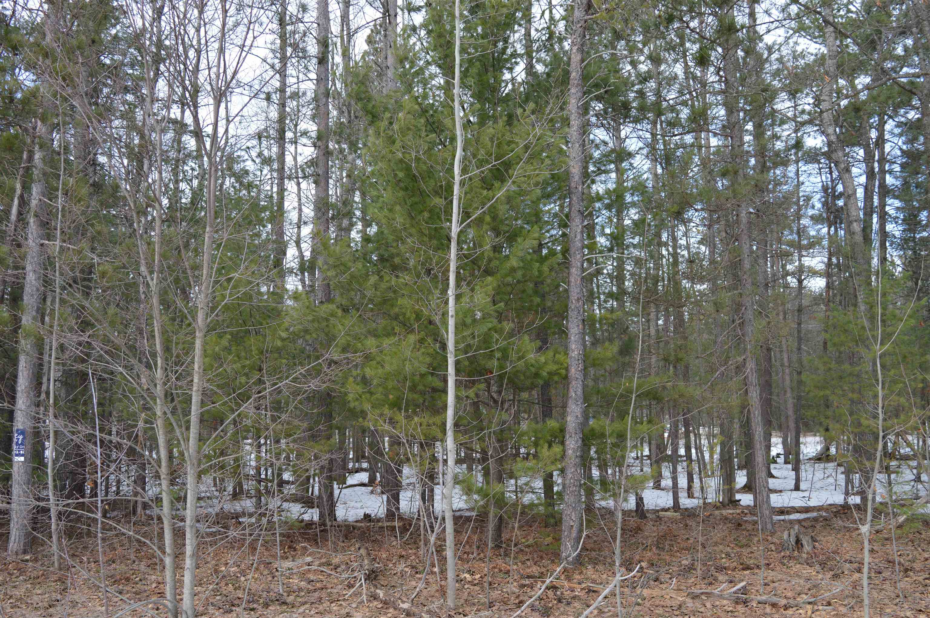 1971 Bunker Drive Kalkaska Township MI 49646