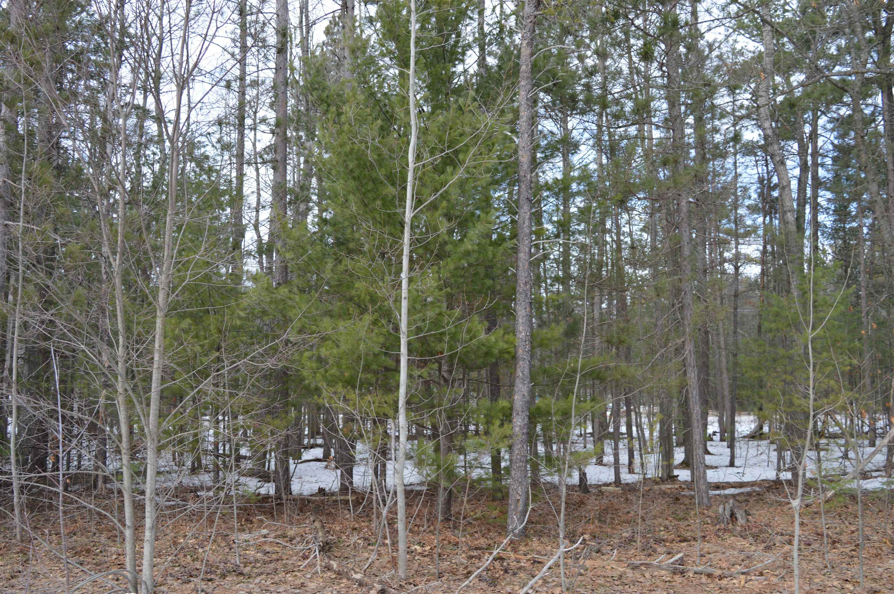 1971 Bunker Drive Kalkaska Township MI 49646